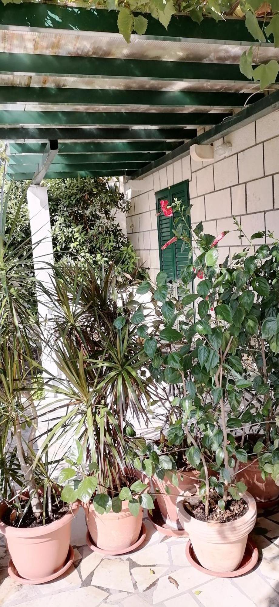 Fani Kanun Apartment
